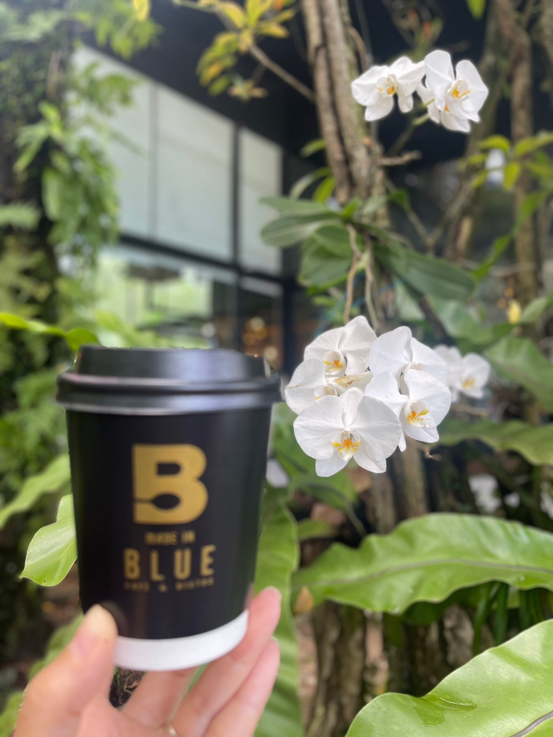 Made in Blue Café @Hotel