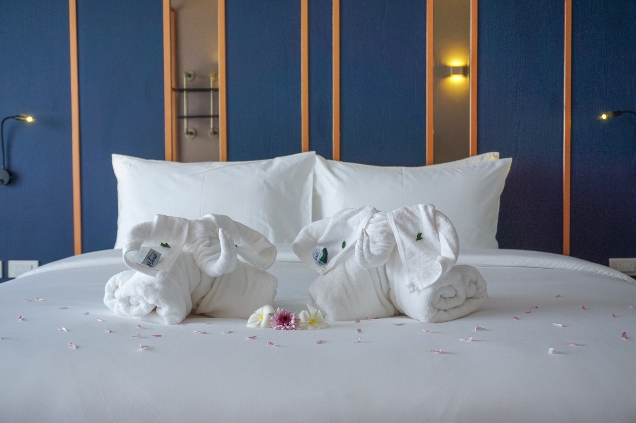 Deluxe Double/Twin Bed